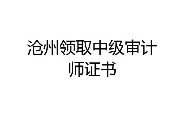 沧州领取中级审计师证书