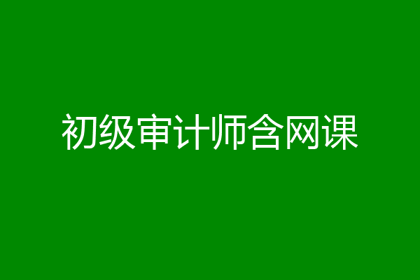 初级审计师含网课