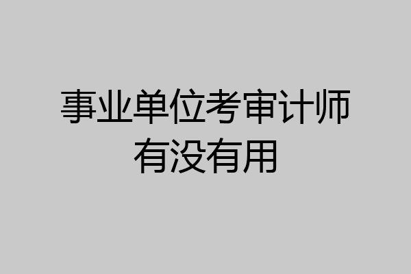 事业单位考审计师有没有用