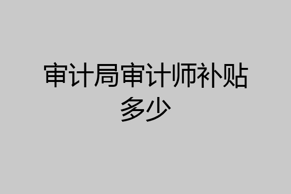 审计局审计师补贴多少