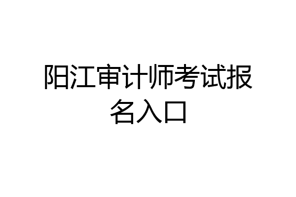 阳江审计师考试报名入口