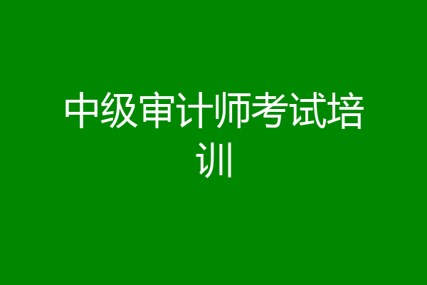 中级审计师考试培训