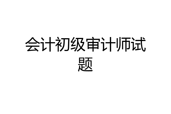 会计初级审计师试题