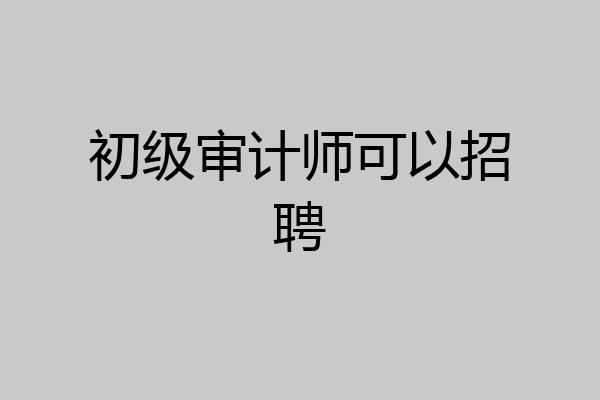 初级审计师可以招聘