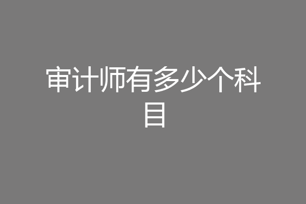 审计师有多少个科目