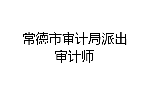 常德市审计局派出审计师