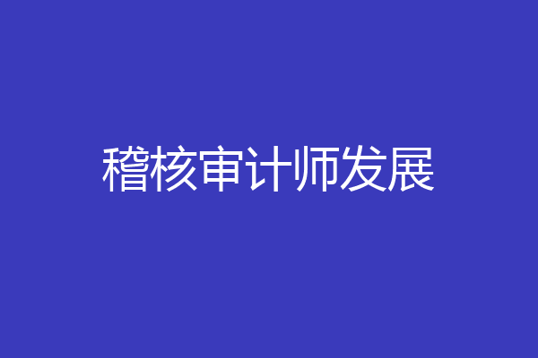 稽核审计师发展