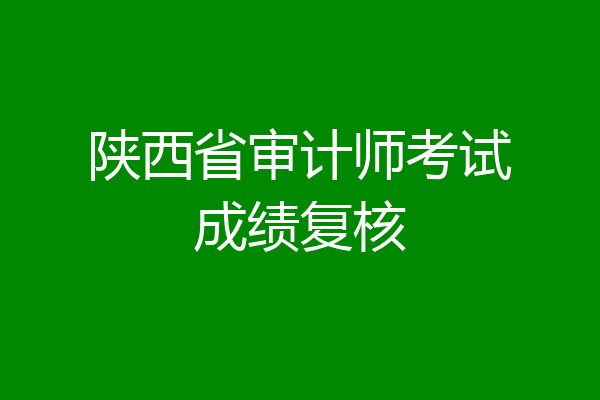 陕西省审计师考试成绩复核