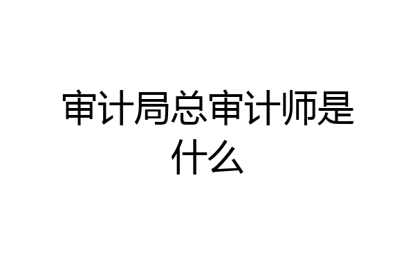 审计局总审计师是什么