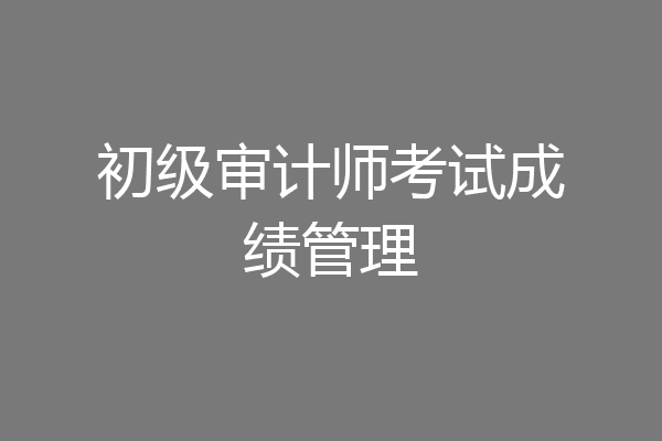 初级审计师考试成绩管理