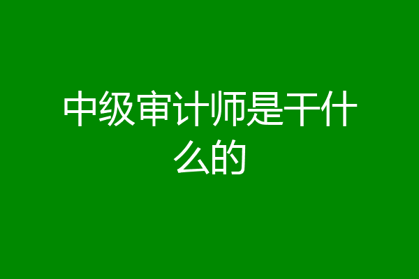 中级审计师是干什么的