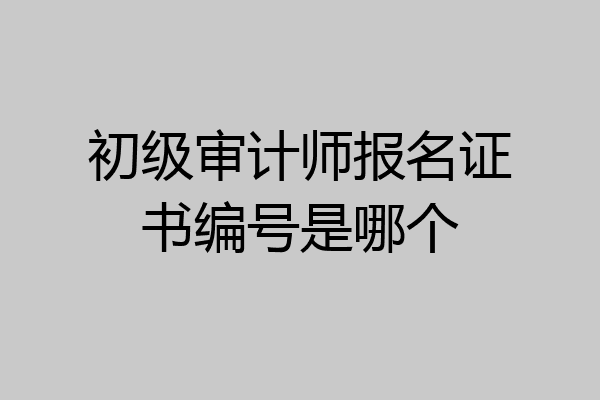 初级审计师报名证书编号是哪个