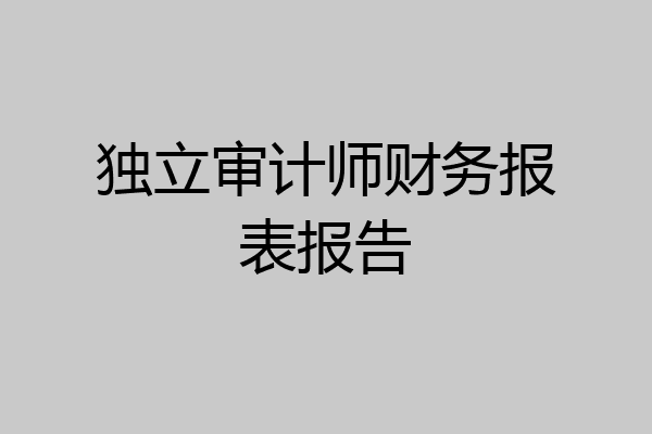 独立审计师财务报表报告
