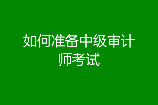 如何准备中级审计师考试