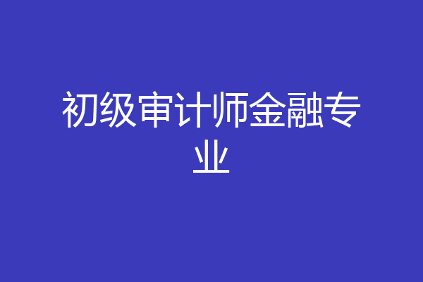 初级审计师金融专业