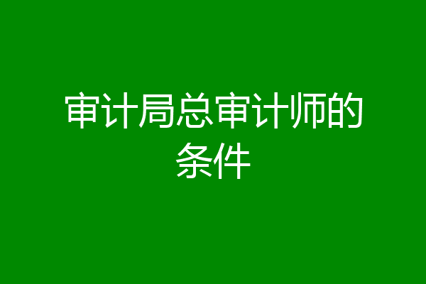 审计局总审计师的条件