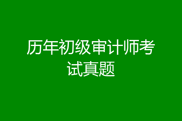 历年初级审计师考试真题