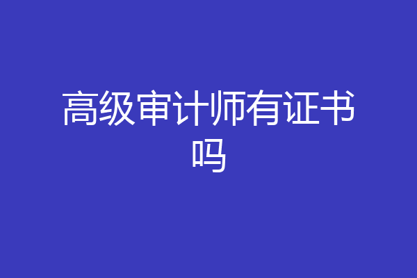 高级审计师有证书吗