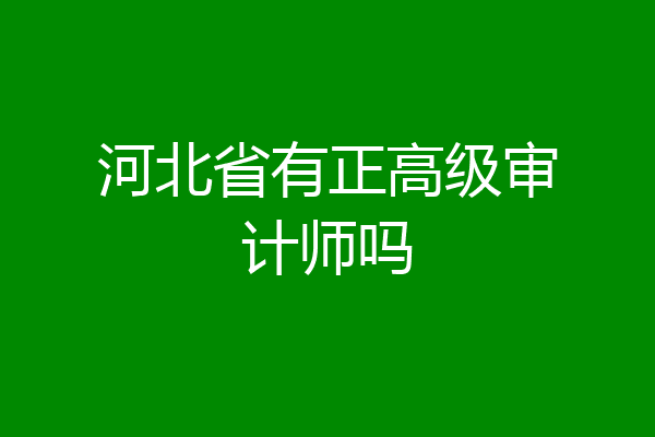 河北省有正高级审计师吗