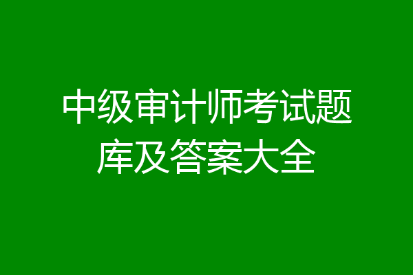 中级审计师考试题库及答案大全