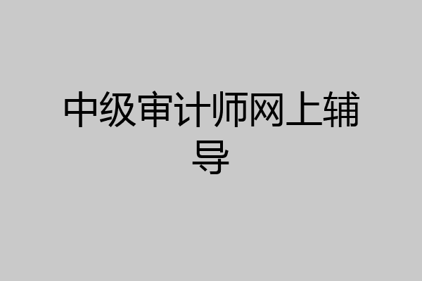 中级审计师网上辅导