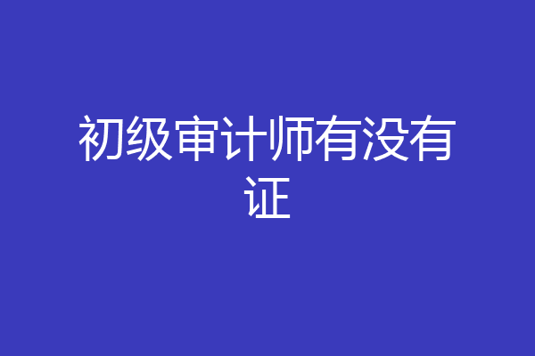 初级审计师有没有证