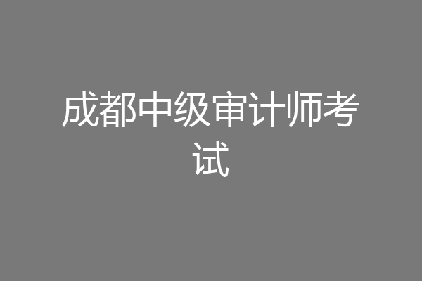 成都中级审计师考试