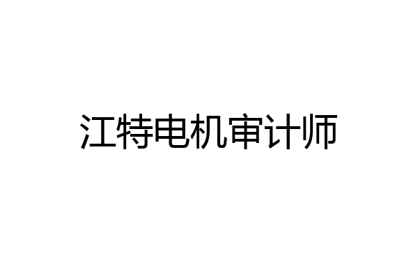 江特电机审计师