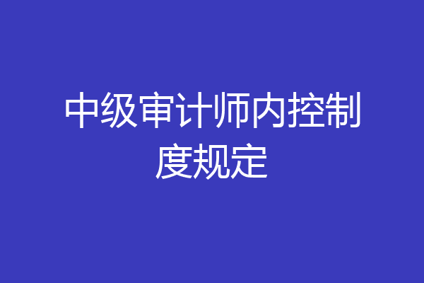 中级审计师内控制度规定