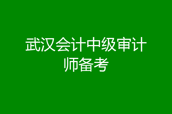 武汉会计中级审计师备考