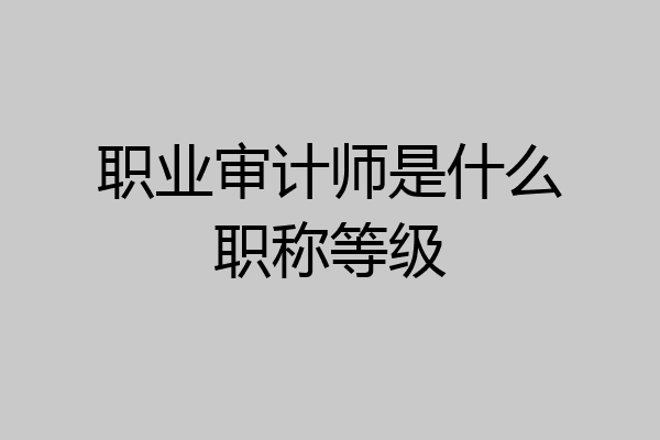 职业审计师是什么职称等级
