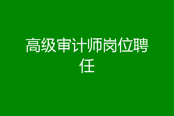 高级审计师岗位聘任