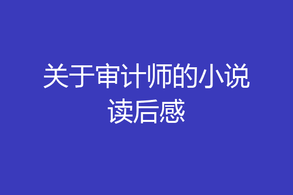 关于审计师的小说读后感