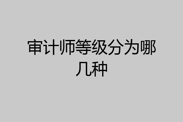 审计师等级分为哪几种