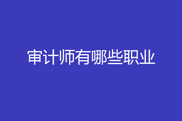 审计师有哪些职业