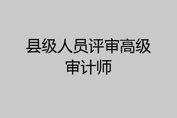 县级人员评审高级审计师