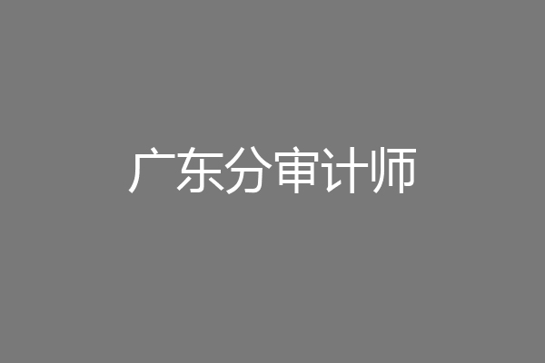 广东分审计师