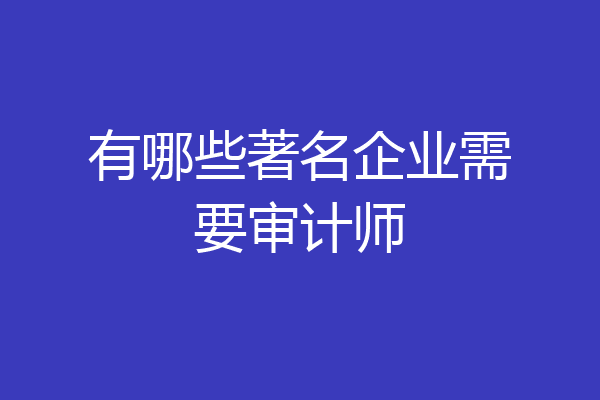 有哪些著名企业需要审计师
