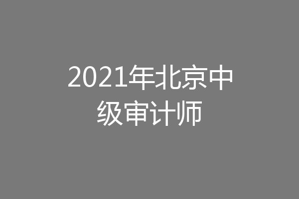 2021年北京中级审计师