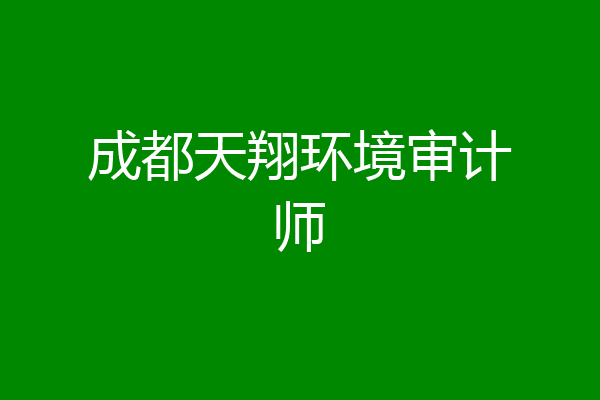 成都天翔环境审计师