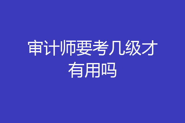 审计师要考几级才有用吗