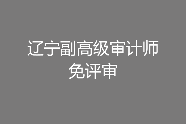 辽宁副高级审计师免评审