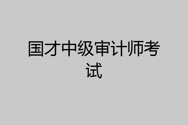 国才中级审计师考试