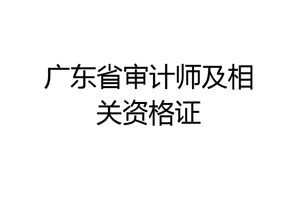 广东省审计师及相关资格证