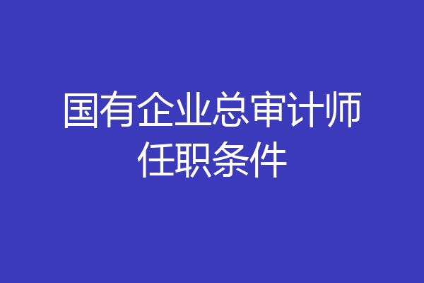 国有企业总审计师任职条件