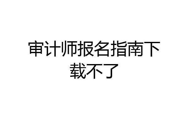 审计师报名指南下载不了