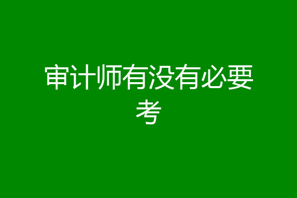 审计师有没有必要考