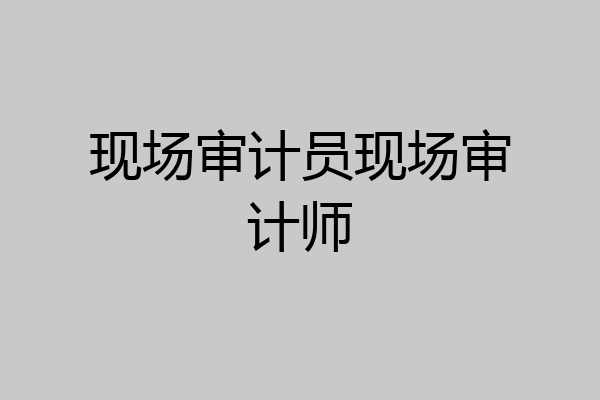 现场审计员现场审计师