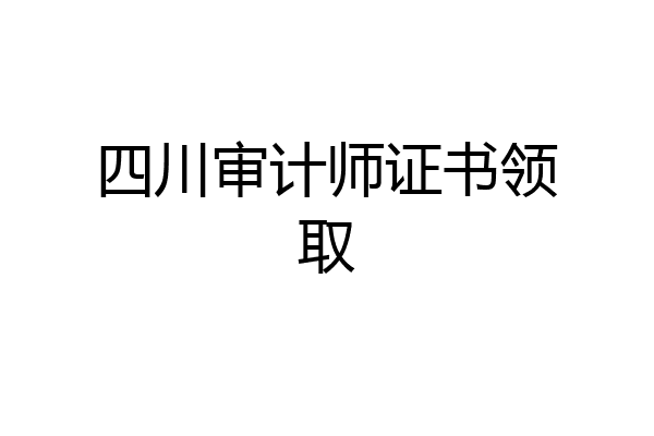 四川审计师证书领取
