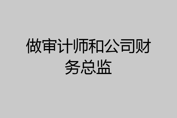 做审计师和公司财务总监